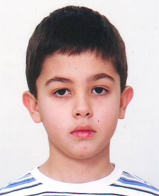Mihajlo Sterđević