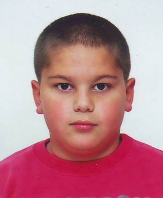Vuk Sterđević
