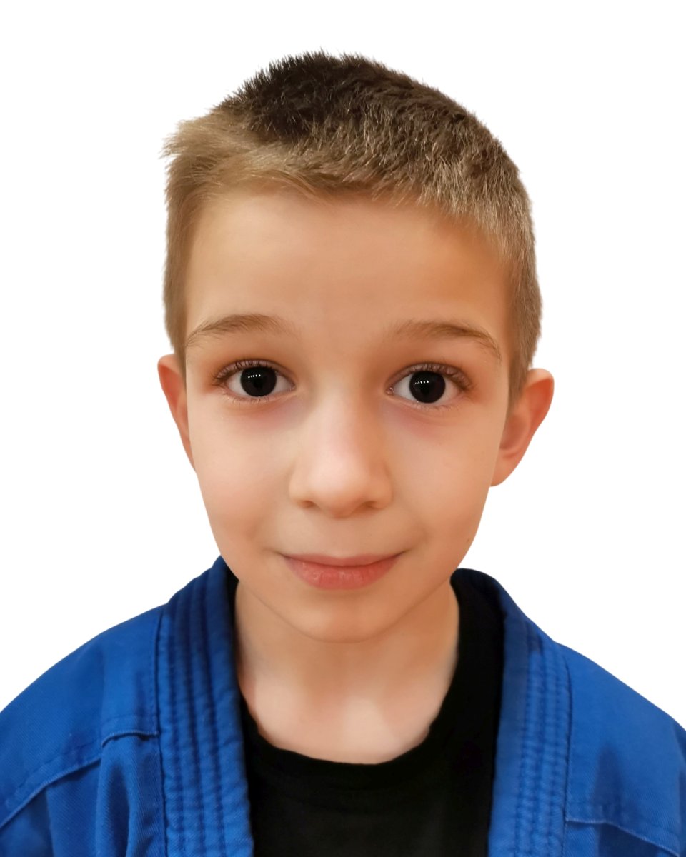 Dimitrije Stehlik