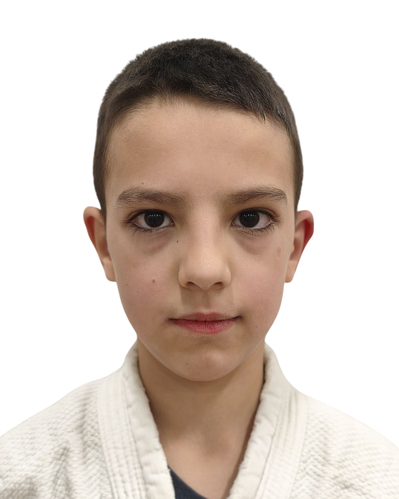 Vujadin Stamenković