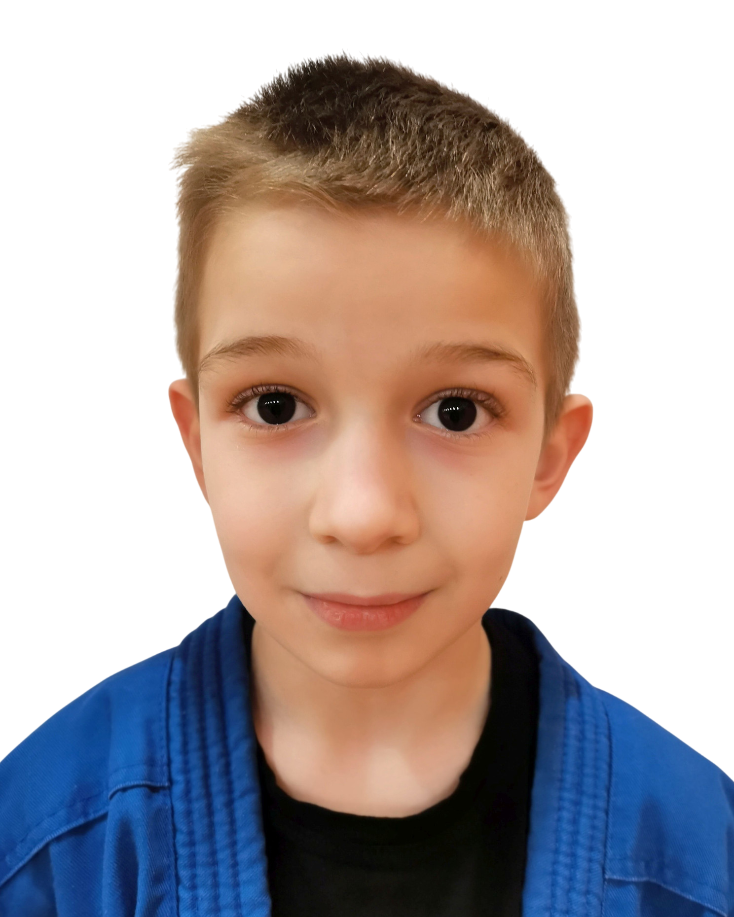 Dimitrije Stehlik